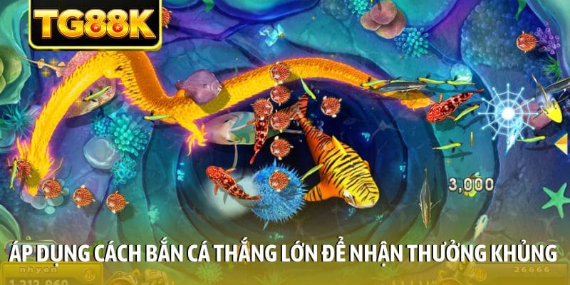 Áp dụng cách bắn cá thắng lớn để nhận thưởng khủng
