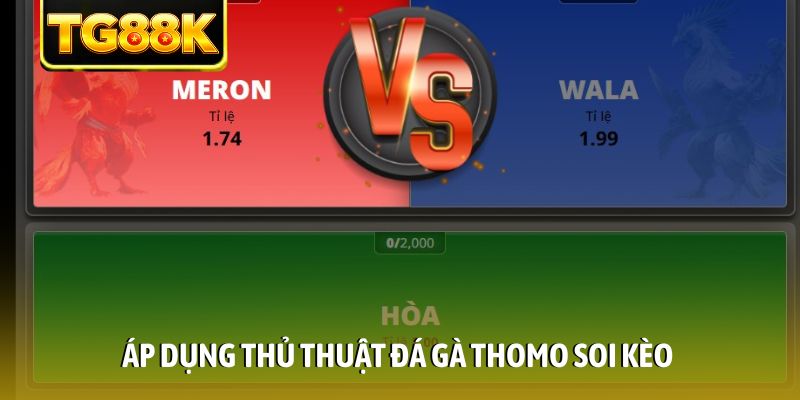 Áp dụng thủ thuật đá gà Thomo soi kèo Áp dụng thủ thuật đá gà Thomo soi kèo