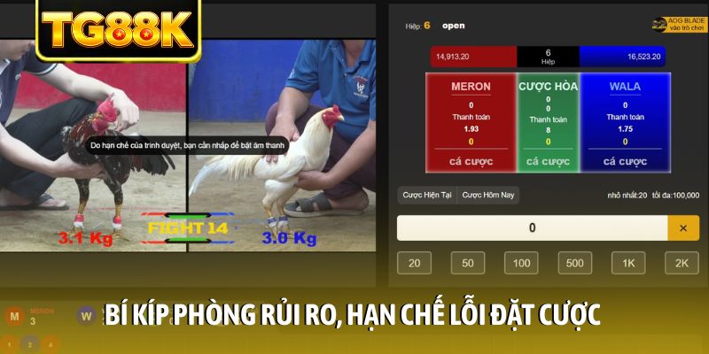 Bí kíp phòng rủi ro, hạn chế lỗi đặt cược Bí kíp phòng rủi ro, hạn chế lỗi đặt cược