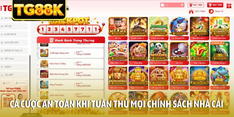 Cá cược an toàn khi tuân thủ mọi chính sách nhà cái