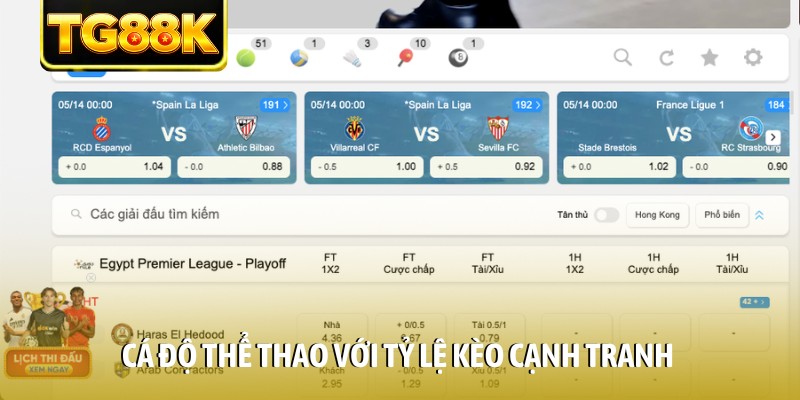 Cá độ thể thao với tỷ lệ kèo cạnh tranh Cá độ thể thao với tỷ lệ kèo cạnh tranh