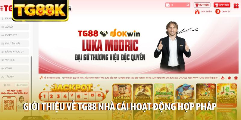 Giới thiệu về TG88 nhà cái hoạt động hợp pháp Giới thiệu về TG88 nhà cái hoạt động hợp pháp