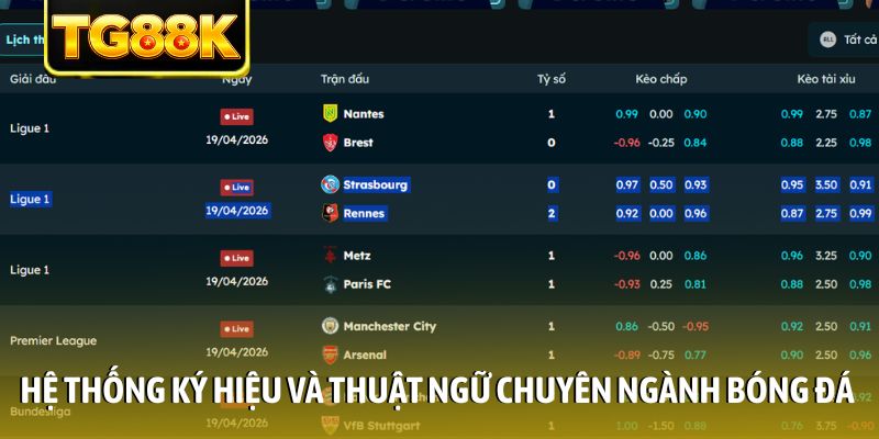Hệ thống ký hiệu và thuật ngữ chuyên ngành bóng đá Hệ thống ký hiệu và thuật ngữ chuyên ngành bóng đá