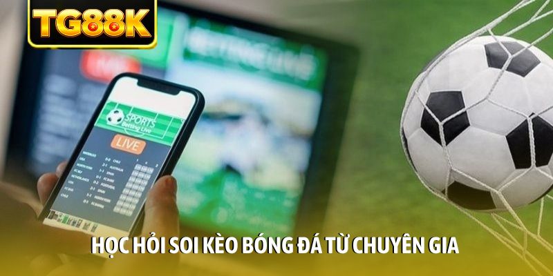 Học hỏi soi kèo bóng đá từ chuyên gia Học hỏi soi kèo bóng đá từ chuyên gia