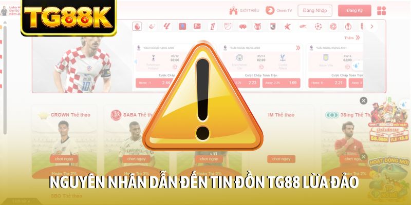 Nguyên nhân dẫn đến tin đồn TG88 lừa đảo