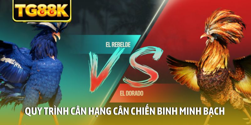 Quy trình cân hạng cân chiến binh minh bạch Quy trình cân hạng cân chiến binh minh bạch