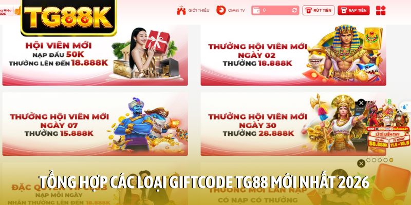 Tổng hợp các loại Giftcode TG88 mới nhất 2026 Tổng hợp các loại Giftcode TG88 mới nhất 2026