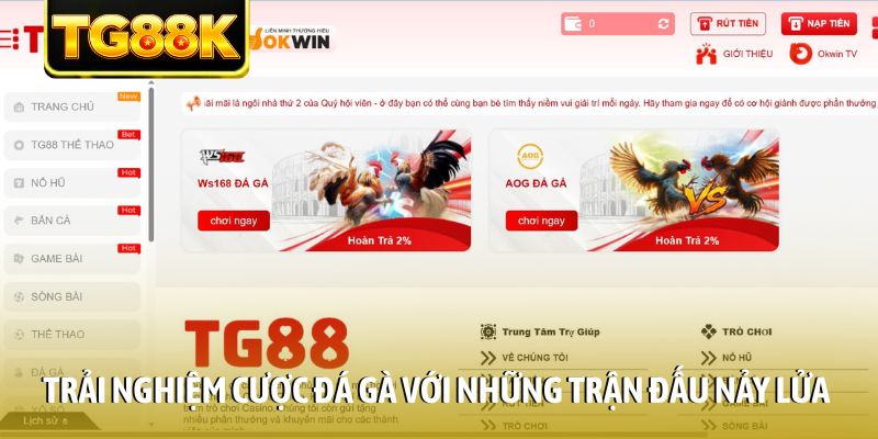 Trải nghiệm cược đá gà với những trận đấu nảy lửa Trải nghiệm cược đá gà với những trận đấu nảy lửa