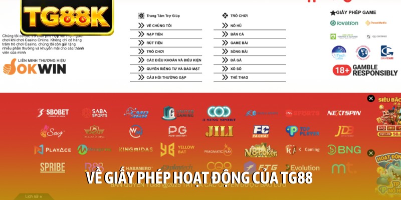 Về giấy phép hoạt động của TG88 Về giấy phép hoạt động của TG88